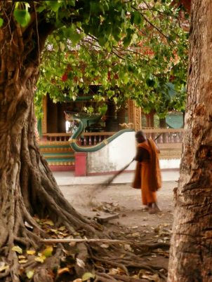 Every monk in every temple we've stayed in starts their day by sweeping