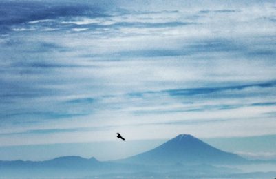 View of Mount Fuji from near Mark's house in Hayama