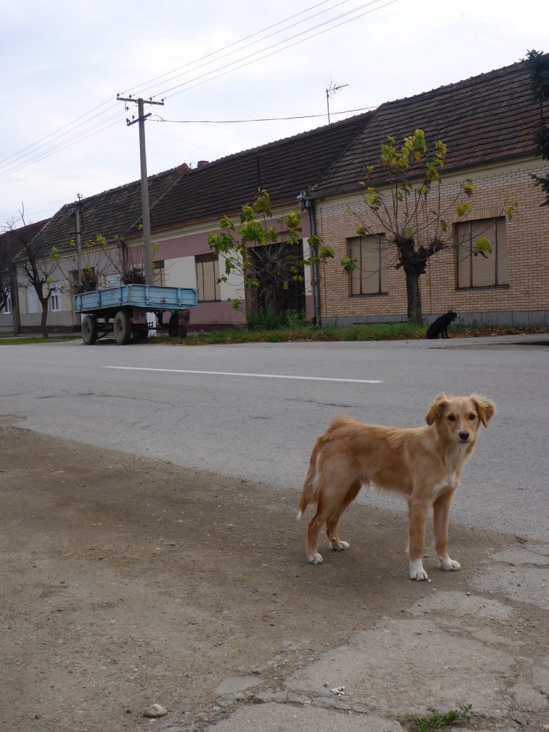 Serbian village residents