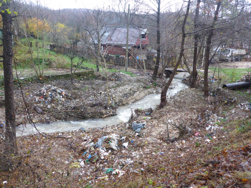 Romanian SUDS