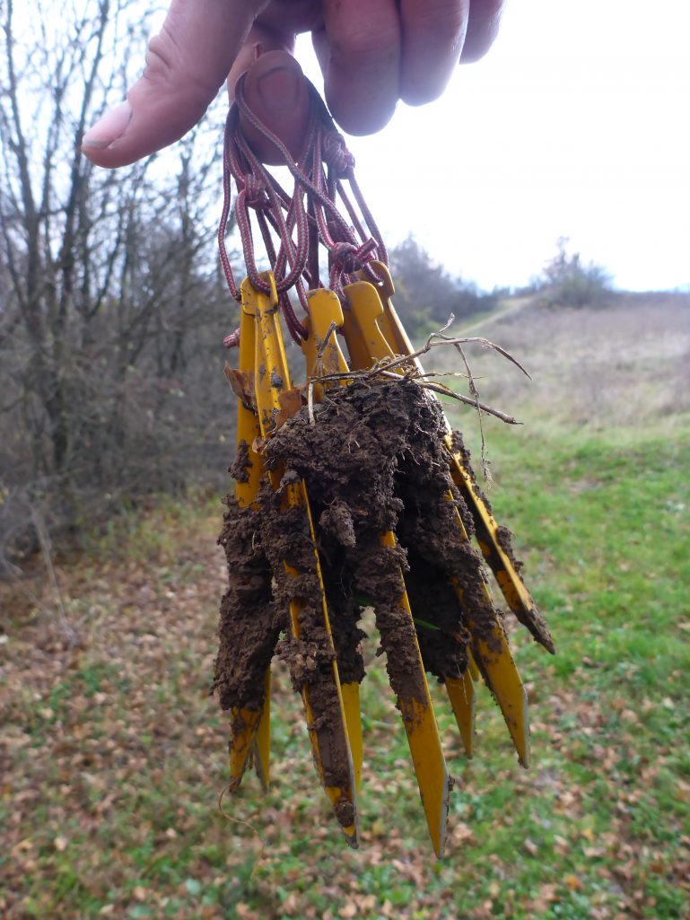 Muddy pegs