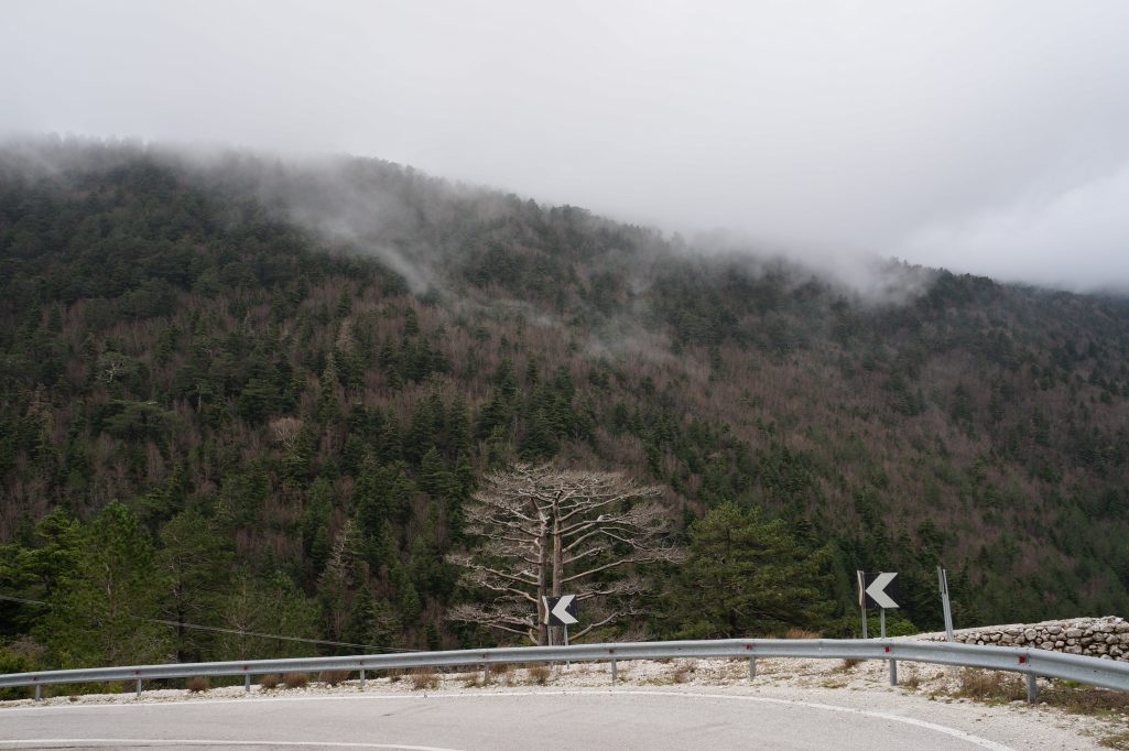 Climbing up to the Llogara Pass