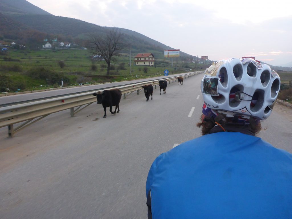 Traffic on the Albanian dual carriageway