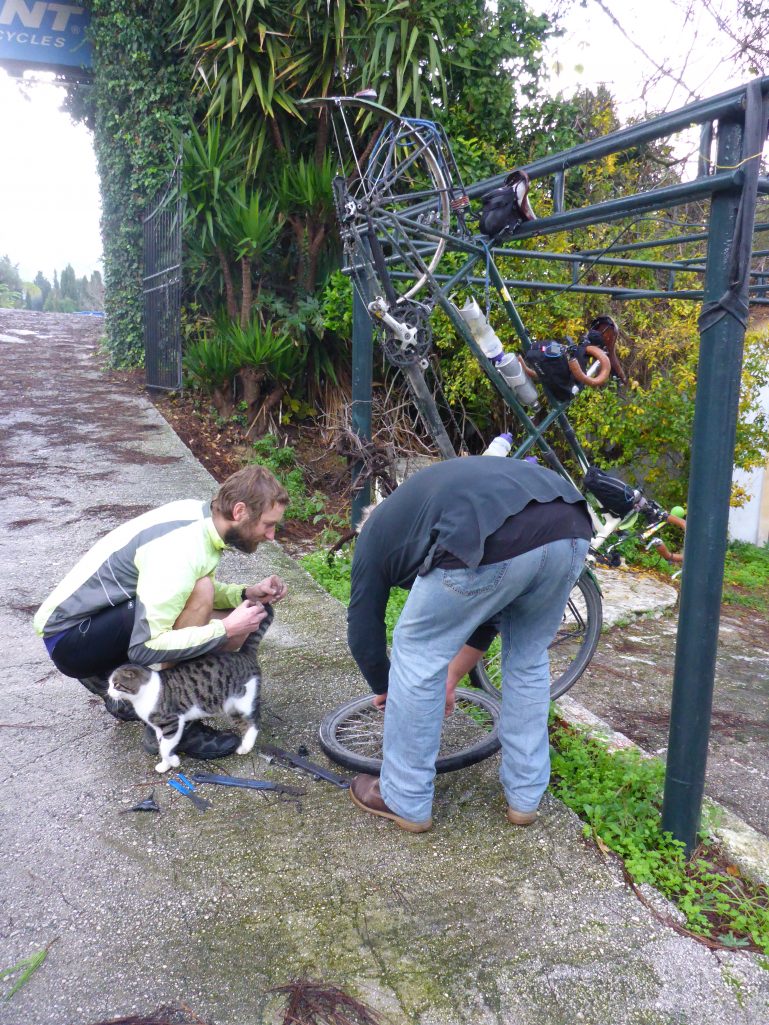 Hub maintenance with help from cat