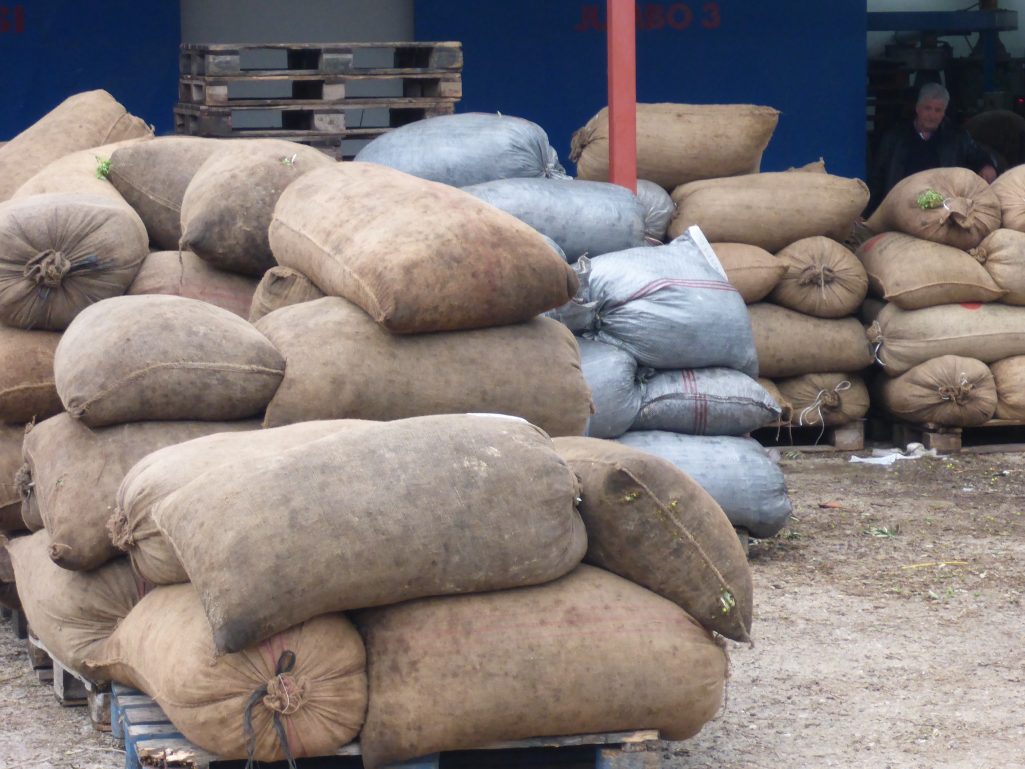 Sacks of olives waiting to be pressed