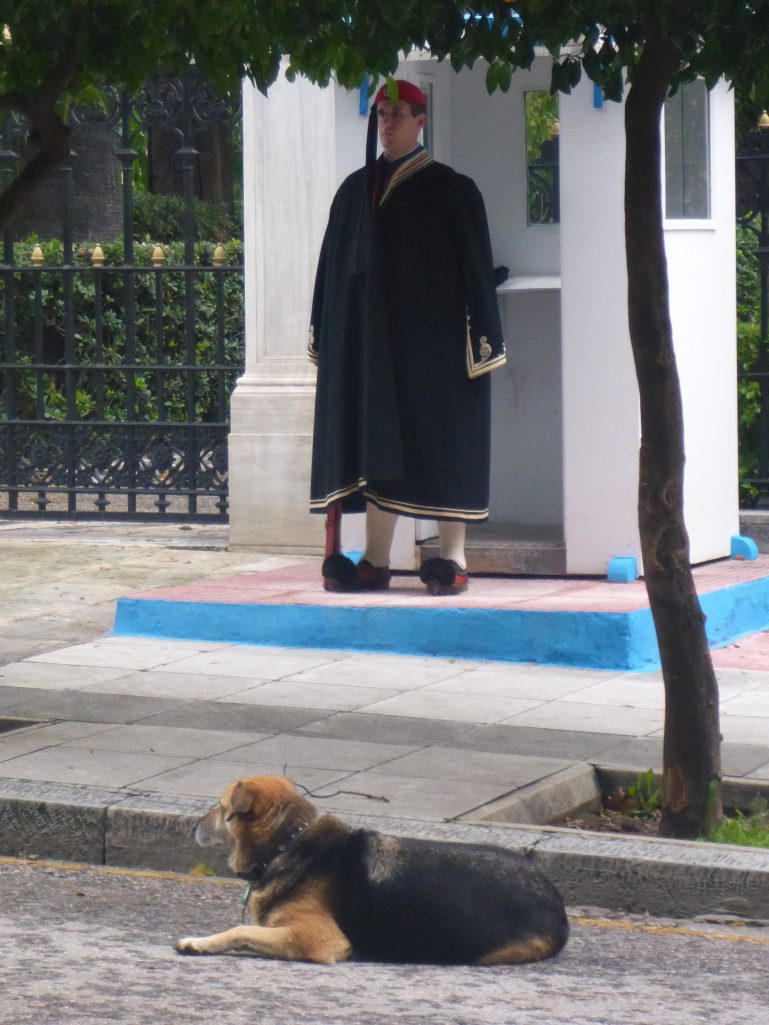 Presidential guard and Lucy the official presidential street dog