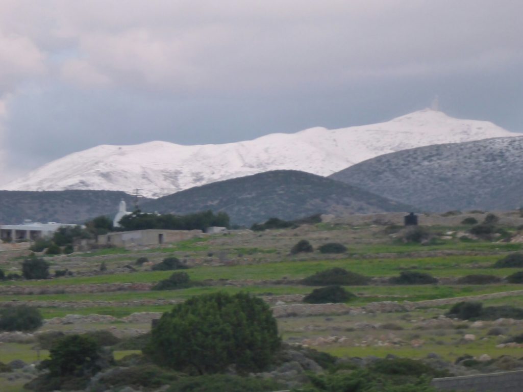 wp-1421050726286