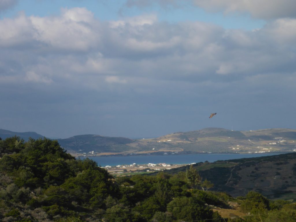 wp-1421051016680