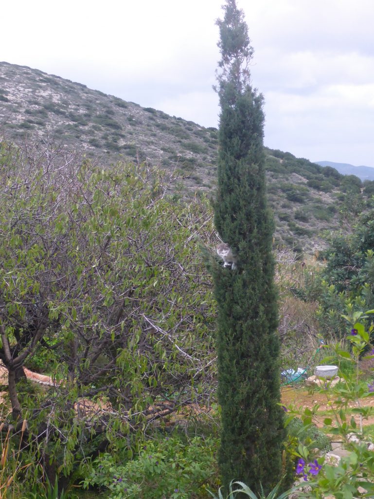 wp-1421051221494