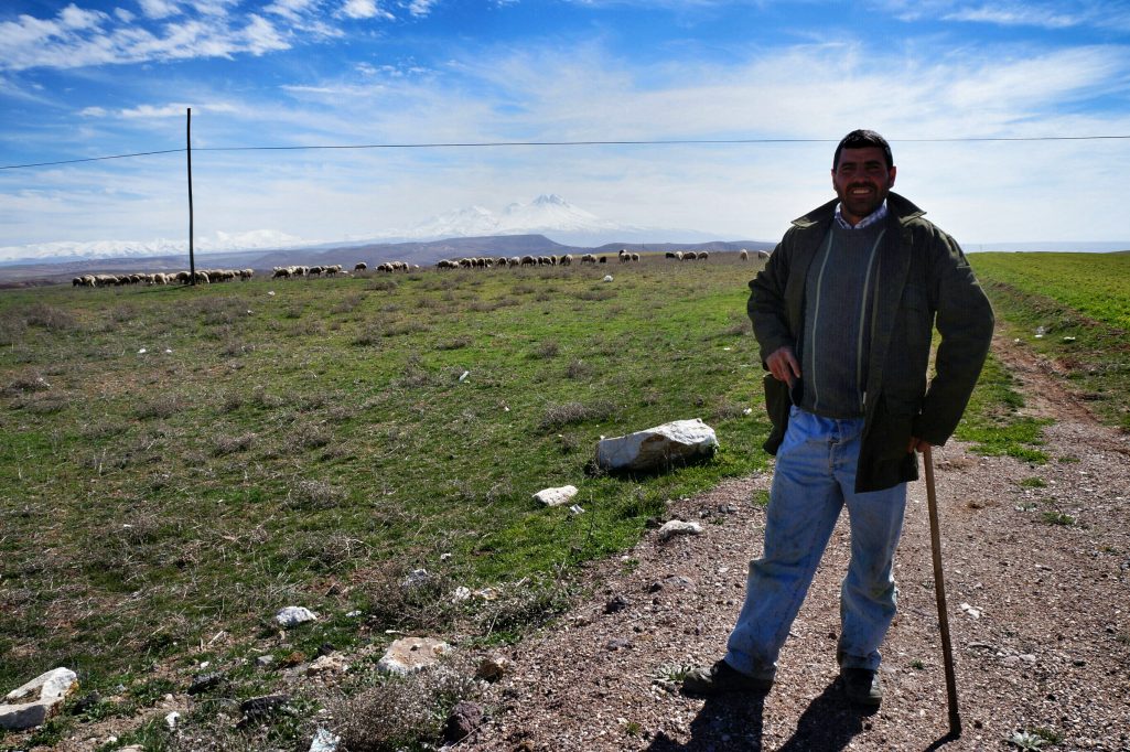 Shepherd near Aksaray